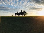 people on horseback