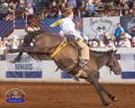 Ranch Rodeo Bronc